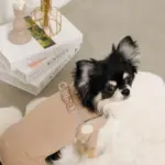 ボアコンビハーネス＋リードSET【名入れ刺繍対応】 - 画像 (10)