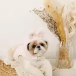 うさぎ耳付きフードファーハーネス - 画像 (5)