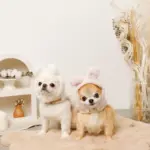 うさぎ耳付きフードファーハーネス - 画像 (9)