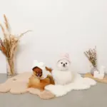 うさぎ耳付きフードファーハーネス - 画像 (10)