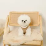 エコレザーボアMIXハーネス+リードSET【名入れ刺繍対応】 - 画像 (2)