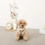 エコレザーボアMIXハーネス+リードSET【名入れ刺繍対応】 - 画像 (4)