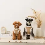 エコレザーボアMIXハーネス+リードSET【名入れ刺繍対応】 - 画像 (9)