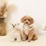 ムートン風ハーネス+リードSET【名入れ刺繍対応】 - 画像 (3)