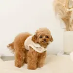 ムートン風ハーネス+リードSET【名入れ刺繍対応】 - 画像 (4)