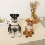 ムートン風ハーネス+リードSET【名入れ刺繍対応】 - 画像 (6)