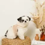 ムートン風ハーネス+リードSET【名入れ刺繍対応】 - 画像 (7)