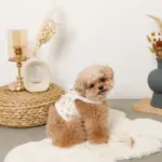 スカラップカラー花柄キルティングハーネス+リードSET【名入れ刺繍対応】 - 画像 (2)