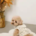 スカラップカラー花柄キルティングハーネス+リードSET【名入れ刺繍対応】 - 画像 (4)