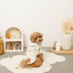 スカラップカラー花柄キルティングハーネス+リードSET【名入れ刺繍対応】 - 画像 (6)