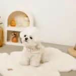 スカラップカラー花柄キルティングハーネス+リードSET【名入れ刺繍対応】 - 画像 (8)