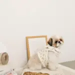 スカラップカラー花柄キルティングハーネス+リードSET【名入れ刺繍対応】 - 画像 (10)