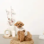 ボアウールハーネス - 画像 (2)