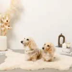 ボアウールハーネス - 画像 (5)