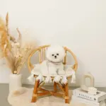 ボアウールハーネス - 画像 (6)