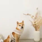 ボアウールハーネス - 画像 (7)