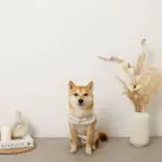 ボアウールハーネス - 画像 (9)