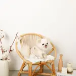 ボアウールハーネス - 画像 (10)