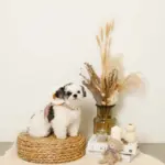 ファーフード付チェックハーネス+リードSET【名入れ刺繍対応】 - 画像 (6)