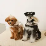 ファーフード付チェックハーネス+リードSET【名入れ刺繍対応】 - 画像 (8)