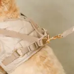 キルティングボアハーネス+リードSET【名入れ刺繍対応】 - 画像 (3)