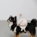 ニュアンスカラーリュックハーネス【名入れ刺繍対応】 - 画像 (2)