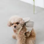 ニュアンスカラーリュックハーネス【名入れ刺繍対応】 - 画像 (4)