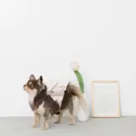 ニュアンスカラーリュックハーネス【名入れ刺繍対応】 - 画像 (5)