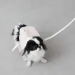 ニュアンスカラーリュックハーネス【名入れ刺繍対応】 - 画像 (7)