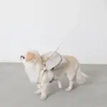 ニュアンスカラーリュックハーネス【名入れ刺繍対応】 - 画像 (10)