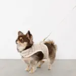 チェック×ファーハーネス - 画像 (2)