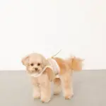 チェック×ファーハーネス - 画像 (4)