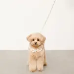 チェック×ファーハーネス - 画像 (5)