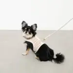 チェック×ファーハーネス - 画像 (6)