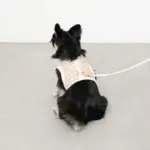 チェック×ファーハーネス - 画像 (7)