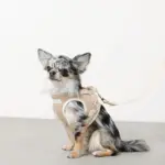 冷感メッシュハーネス+リードSET【名入れ刺繍対応】 - 画像 (4)