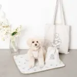 tomboniaコラボハーネス+リードSET【名入れ刺繍対応】 - 画像 (4)