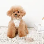 tomboniaコラボハーネス+リードSET【名入れ刺繍対応】 - 画像 (5)