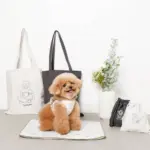 tomboniaコラボハーネス+リードSET【名入れ刺繍対応】 - 画像 (7)