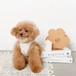 tomboniaコラボハーネス+リードSET【名入れ刺繍対応】 - 画像 (8)