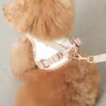 tomboniaコラボハーネス+リードSET【名入れ刺繍対応】 - 画像 (10)