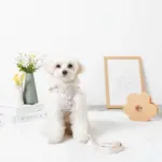 ぽこぽこハーネス+リードSET【名入れ刺繍対応】 - 画像 (2)