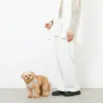 ぽこぽこハーネス+リードSET【名入れ刺繍対応】 - 画像 (3)