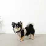 ぽこぽこハーネス+リードSET【名入れ刺繍対応】 - 画像 (5)