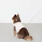 刺繍レースハーネス＋リードSET【名入れ刺繍対応】 - 画像 (2)