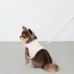 刺繍レースハーネス＋リードSET【名入れ刺繍対応】 - 画像 (8)
