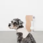 ギンガムチェックハーネス - 画像 (4)