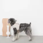 ギンガムチェックハーネス - 画像 (5)