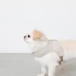 ギンガムチェックハーネス - 画像 (7)