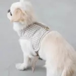 ギンガムチェックハーネス - 画像 (8)